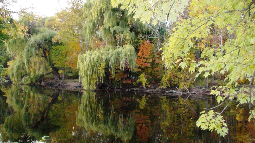 Grand Ledge Island Colors by Doug Sharp