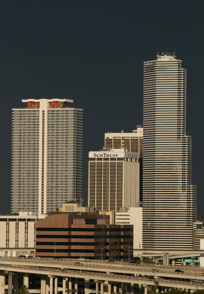 Downtown Miami by Rafael Mejia