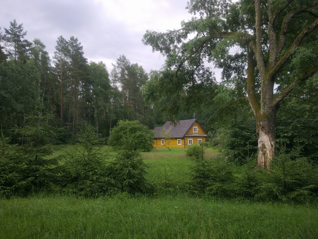 Palkabalis VII 11.Leśny domek w Palkabalio miśkas.Typowy żółty kolor w tych okolicach. by Jacek Firmanty