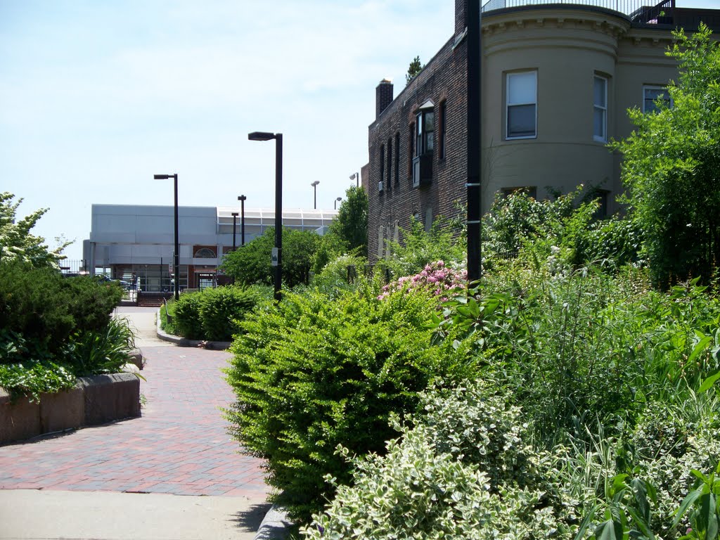 Southwest Corridor, South End, Boston by csbrown81