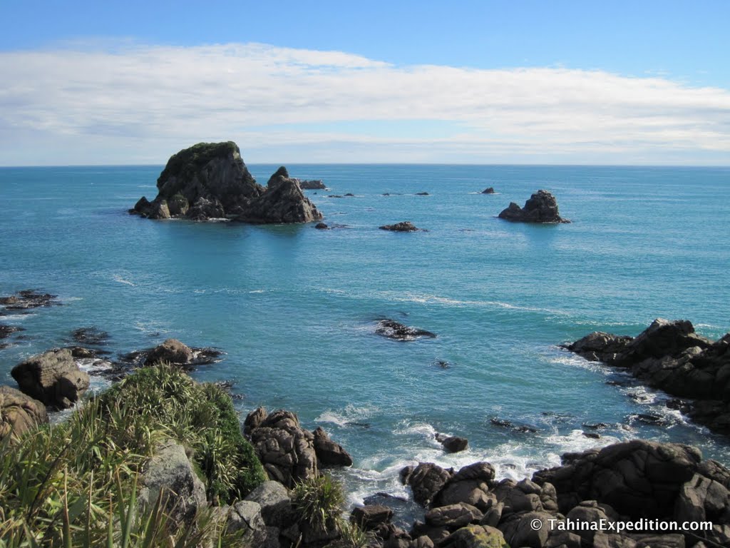 Sunnier view of Cape Foulwind by Frank Taylor