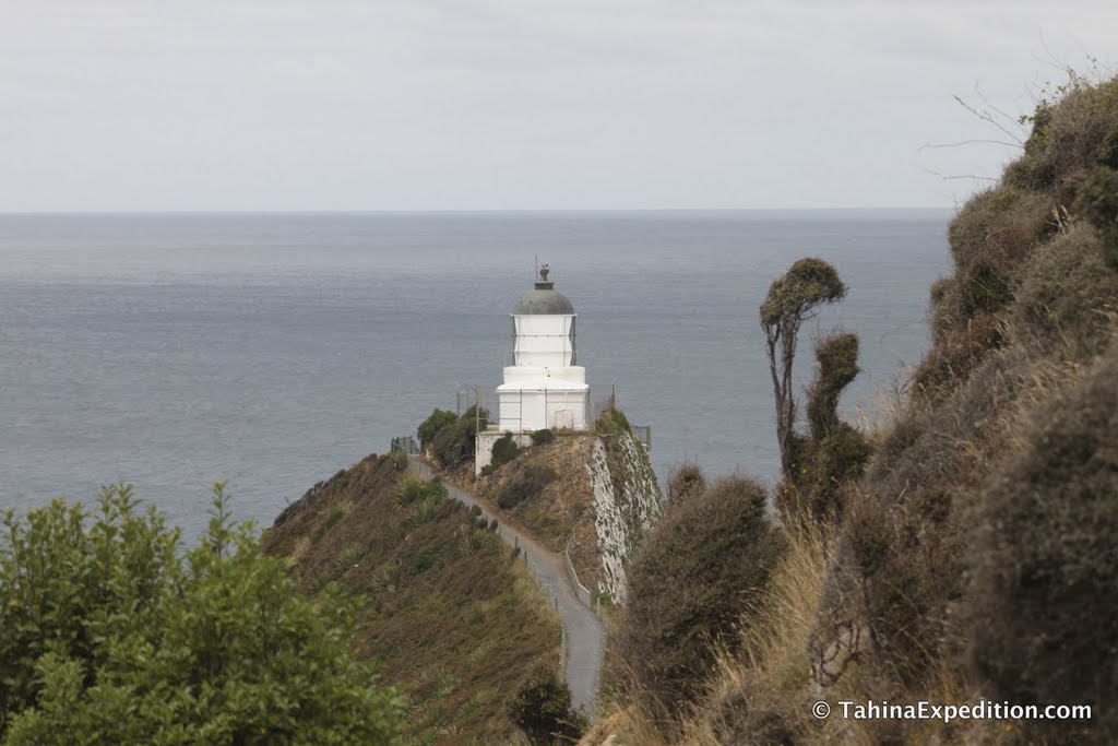 Zoom view of lighthouse at Nugget Point by Frank Taylor