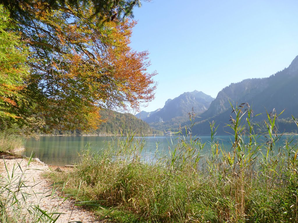 Wanderweg am Alpsee by 1001pic