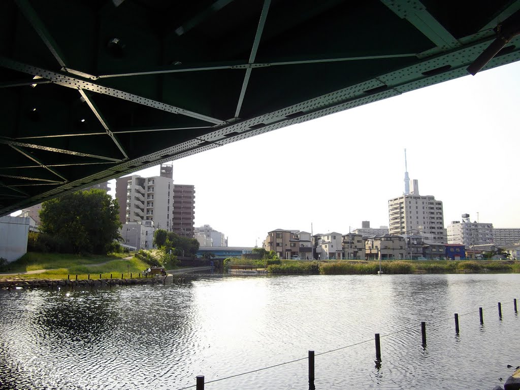 Under the Koto-Shinbashi (Bridge) / 江東新橋 by T SATO