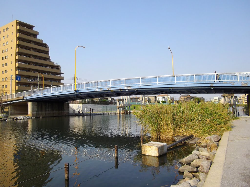 Hirai Bridge / 平井橋 by T SATO