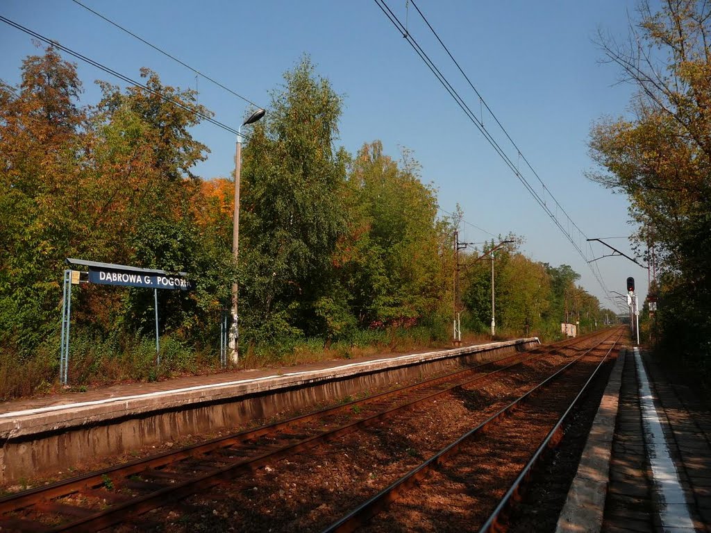 Dworzec kolejowy D.G. Pogoria (Dąbrowa Górnicza Pogoria rail station) by Ari-chaan