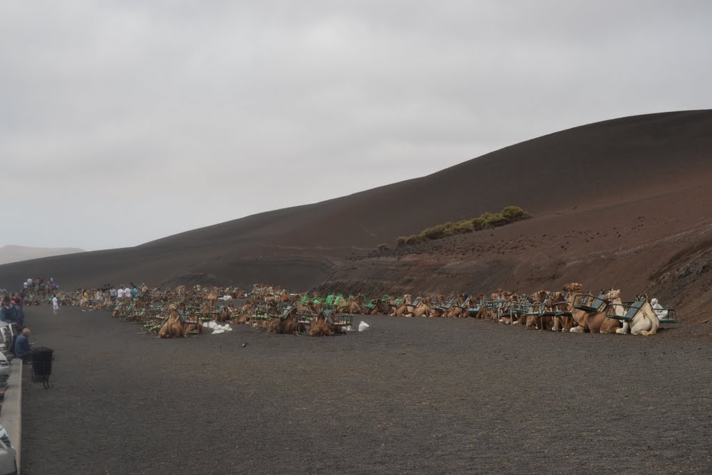 Parque Nacional de Timanfaya by marl1982