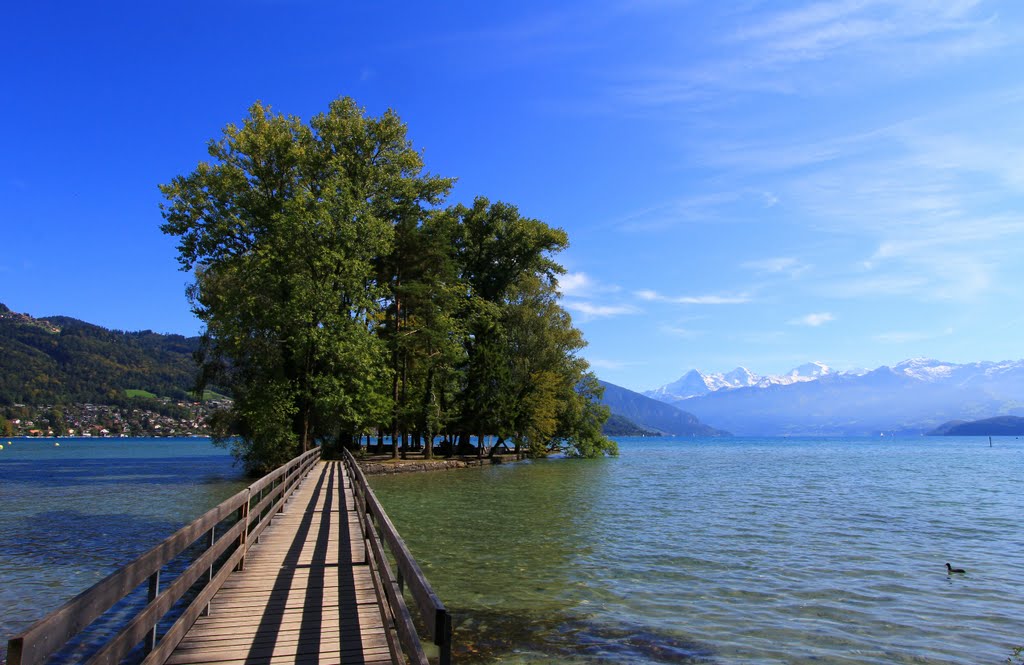 Am Thunersee - Lake Thun (© Pipo63) by Pipo63