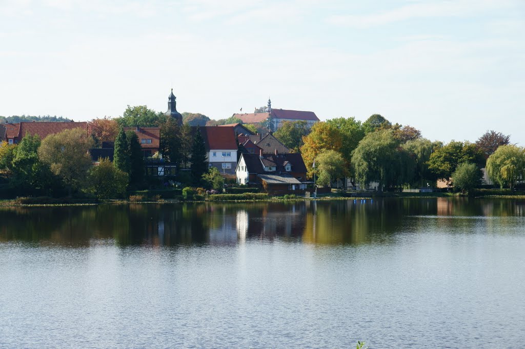 Spiegelung mit Schloss by Reginhart