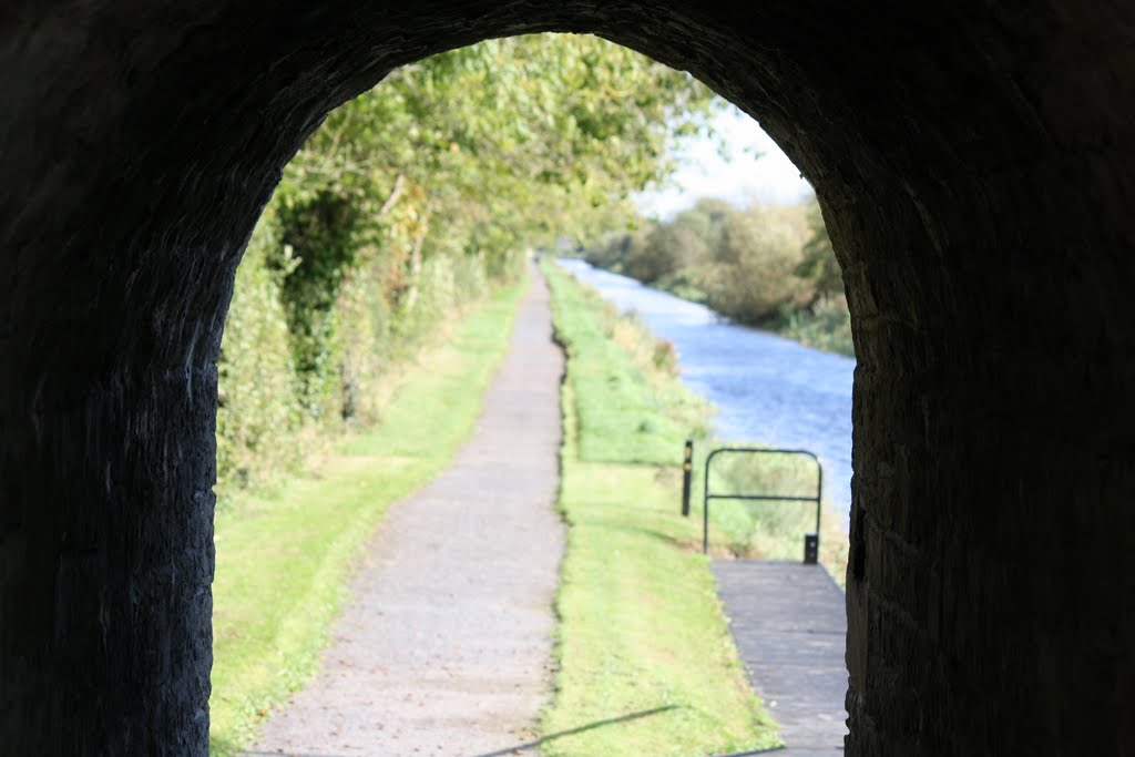 Footpath along royal canal by Noel Fagan