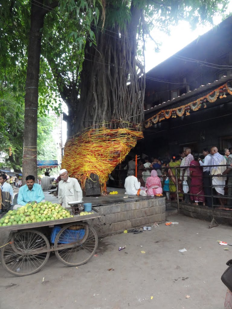 Panchavadi by SANKARS