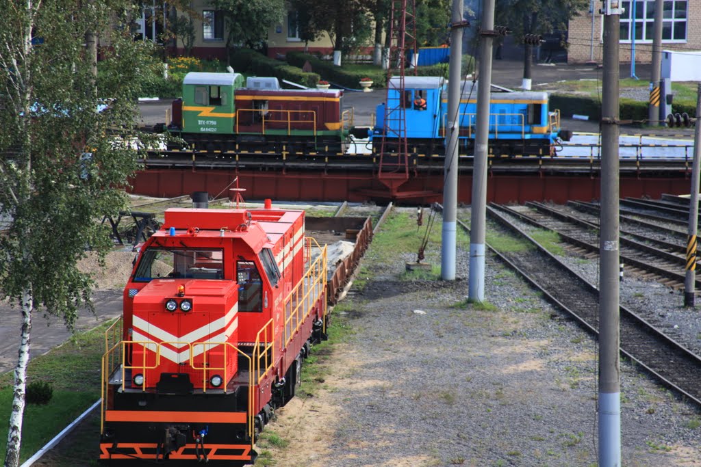 Shunting locomotives TME2-002 and THC-8798 in Minsk-Sorting depot by Alex Zimovsky