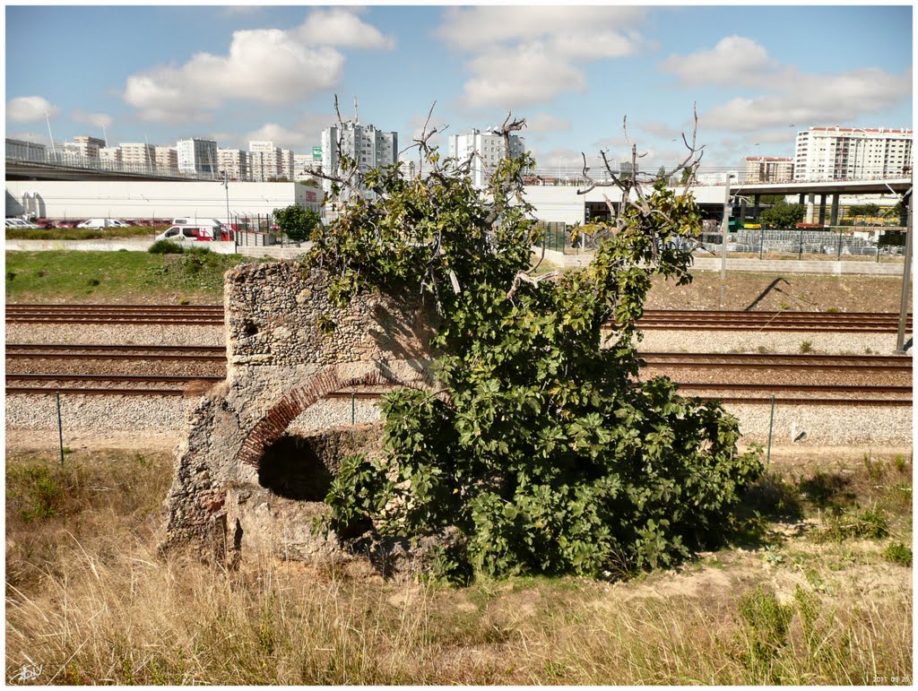 Sacavém - ruinas junto ao ic2 - Portugal .τ®√ℓΞΛج by jlcabaço (TravelJLC.)