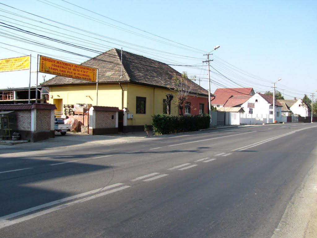 Turda - Calea Victoriei - (2011.10.07) by Ani Catalina