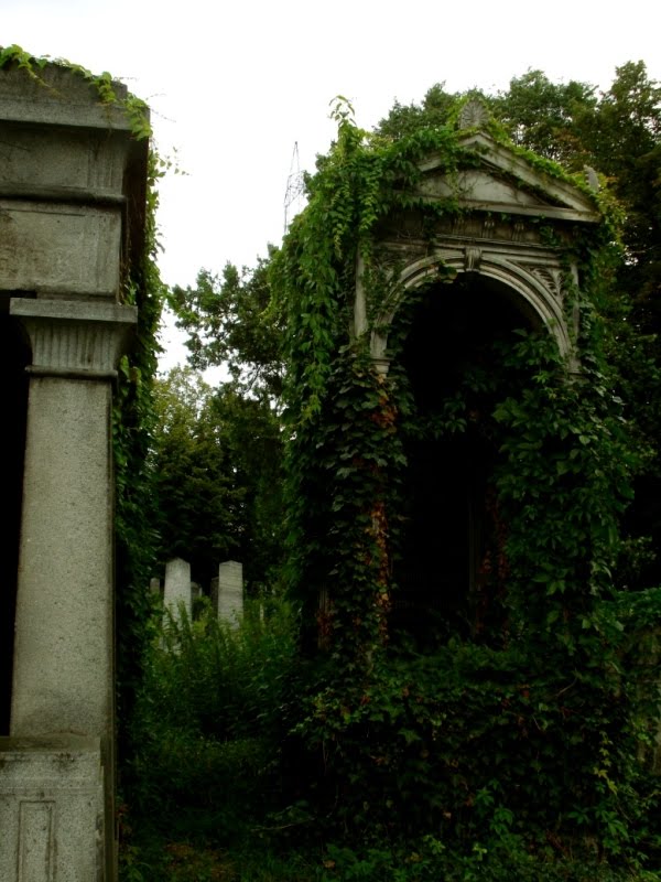 Wiener Zentralfriedhof by Blackrose3485