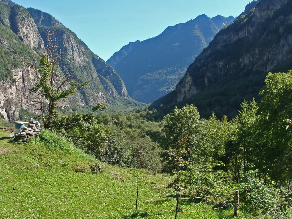 Val Bavona Landschaft bei San Carlo by Contessa