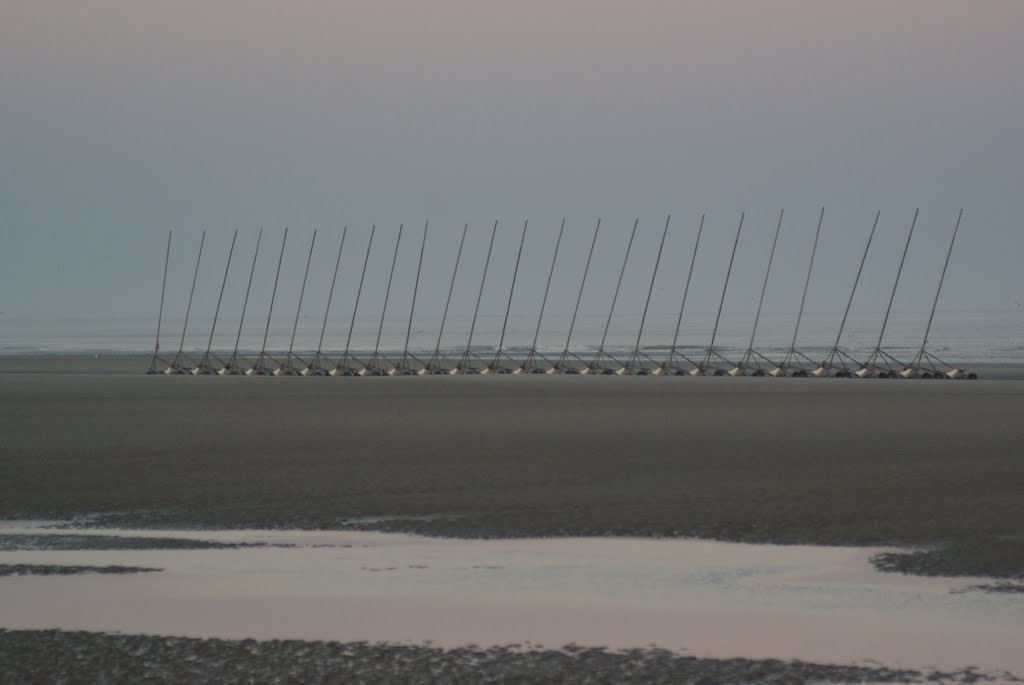 Chars à Voile à Berck by glaurent