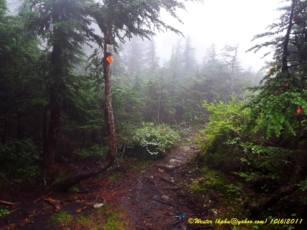 Triple Junction: Meech Lake, Per Gynt and Bill's Trails by Wester