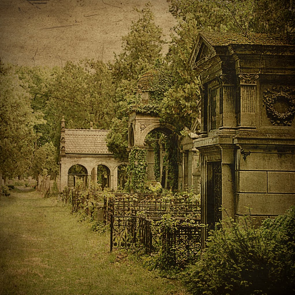 Zentralfriedhof Wien by Blackrose3485