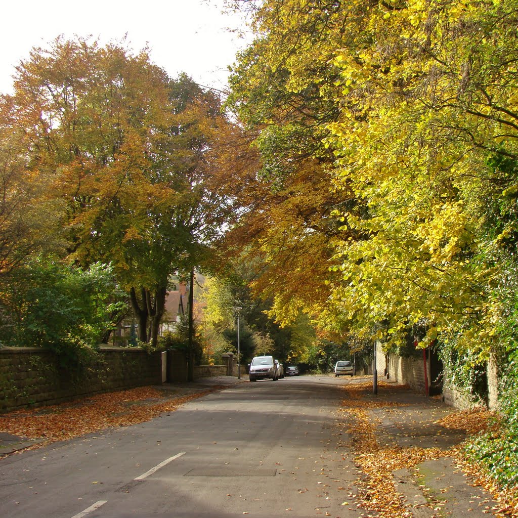 Autumn time on Graham Road, Ranmoor, Sheffield S10 by sixxsix