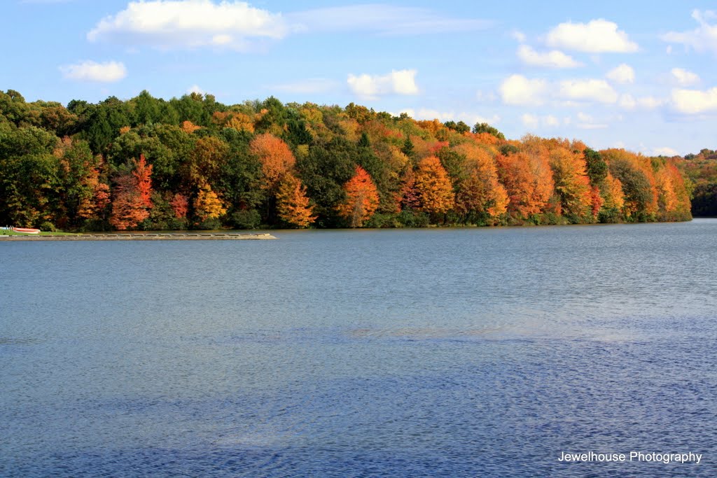 Late September by Terri Stanisha