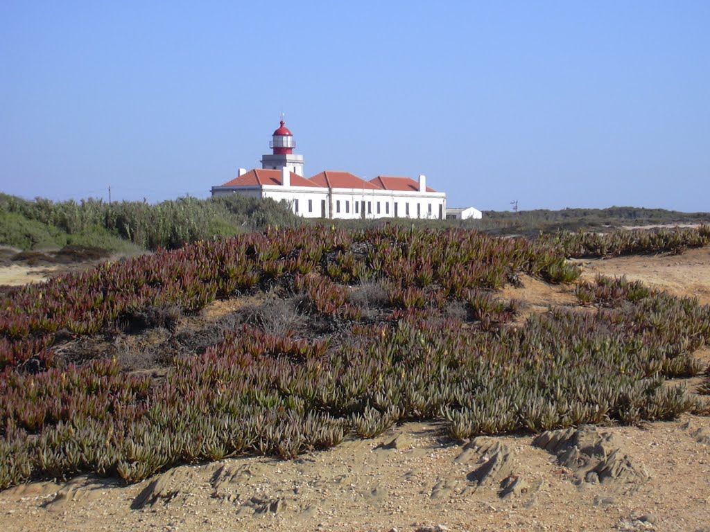 Cabo Sardão 8-2007 by Rogério Santos