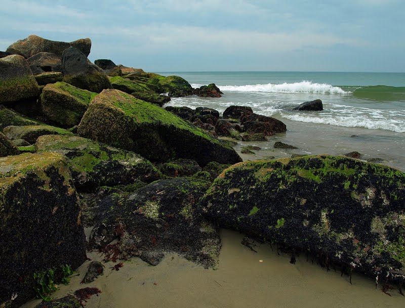 The Jetty by Connecticut Yankee