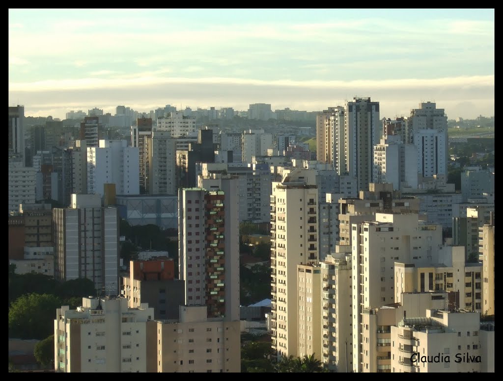 Vila Olímpia, São Paulo - State of São Paulo, Brazil by Claudia Silva Fotogr…