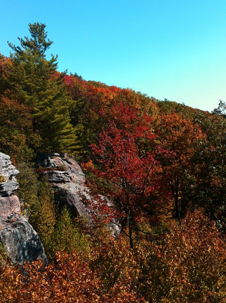 Cooper's Rock by mitchellrosko