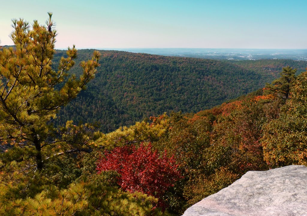 Cooper's Rock by mitchellrosko