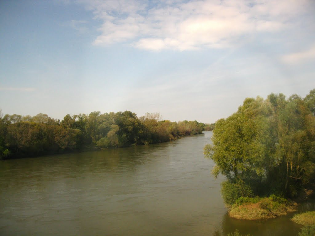 Drava by Anuar T