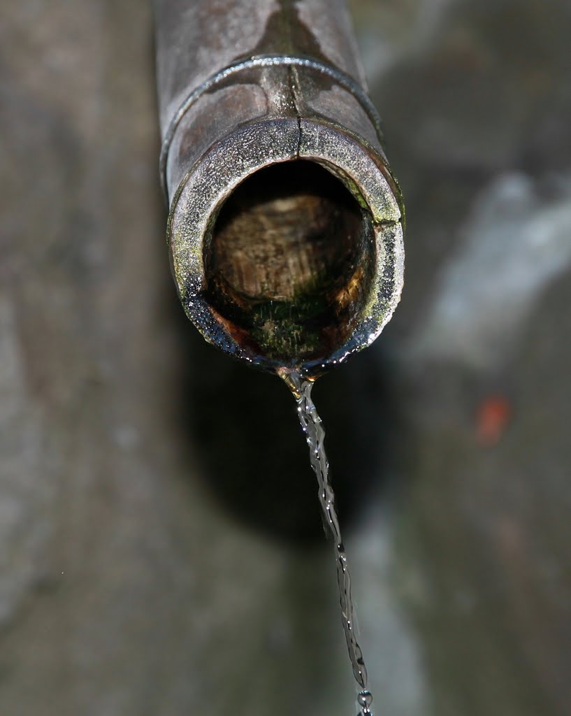 Bamboo water pipe by Leo Roundtree