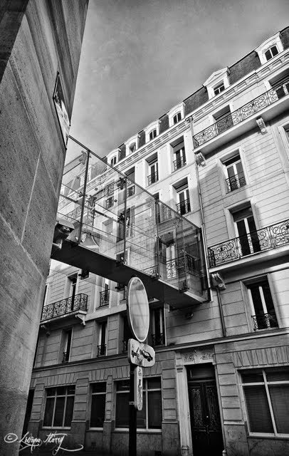 Lille-Pont de verre by Thierry Lévêque