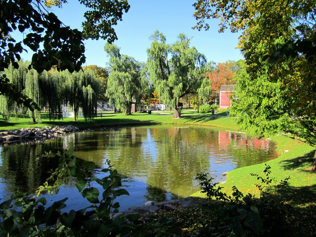 Ackley Pond by juan234x