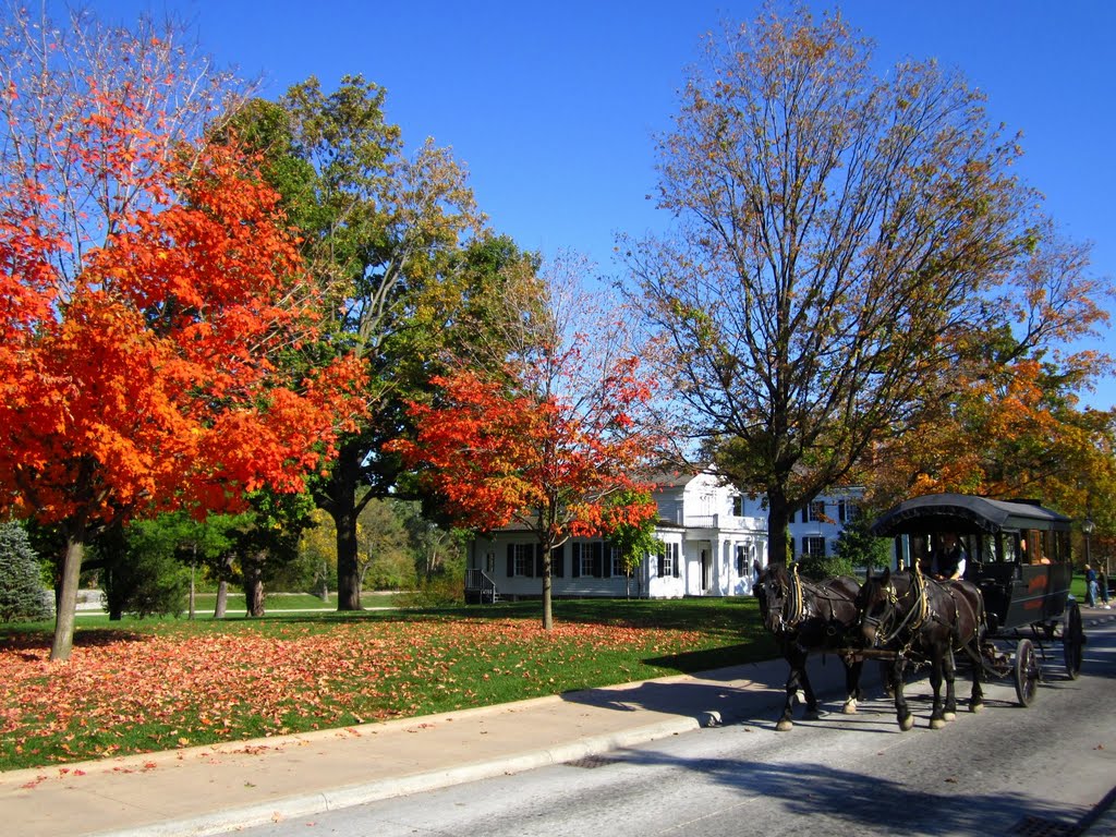 Maple Lane by juan234x