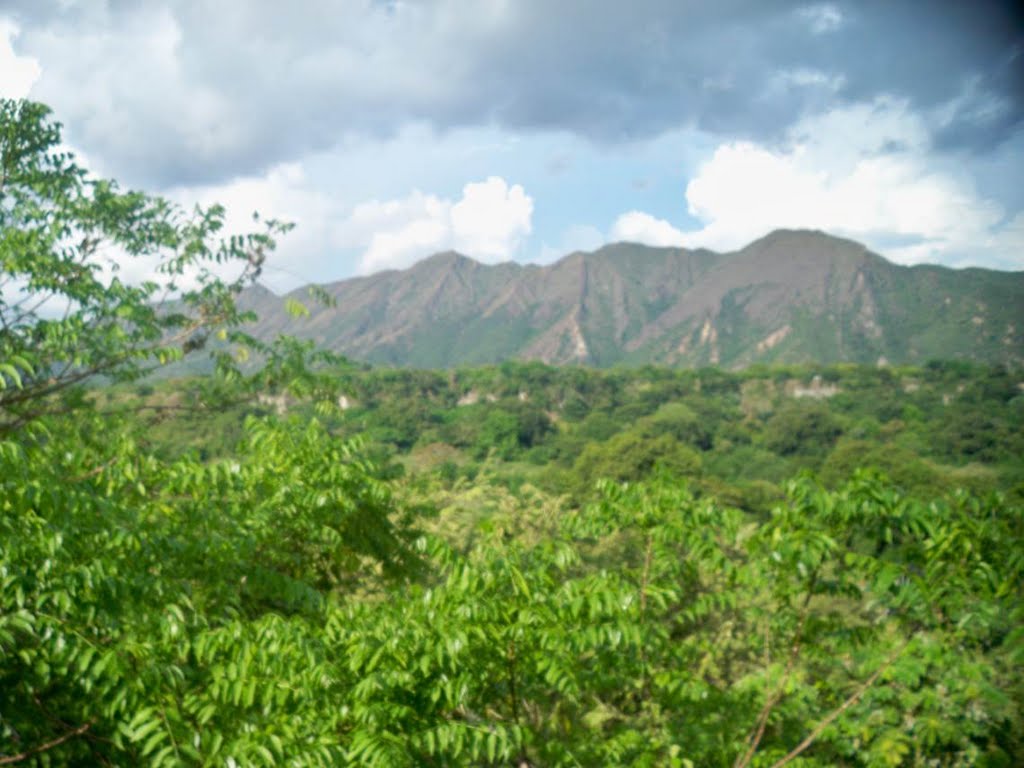 El Espinal, Tolima, Colombia by Alexander Trujillo