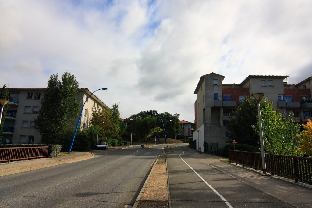 Colomiers - Boulevard Victor Hugo by Rowhider