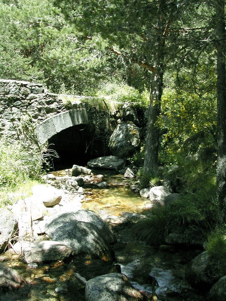 Puente de la Casa de la Pesca by Gatoland