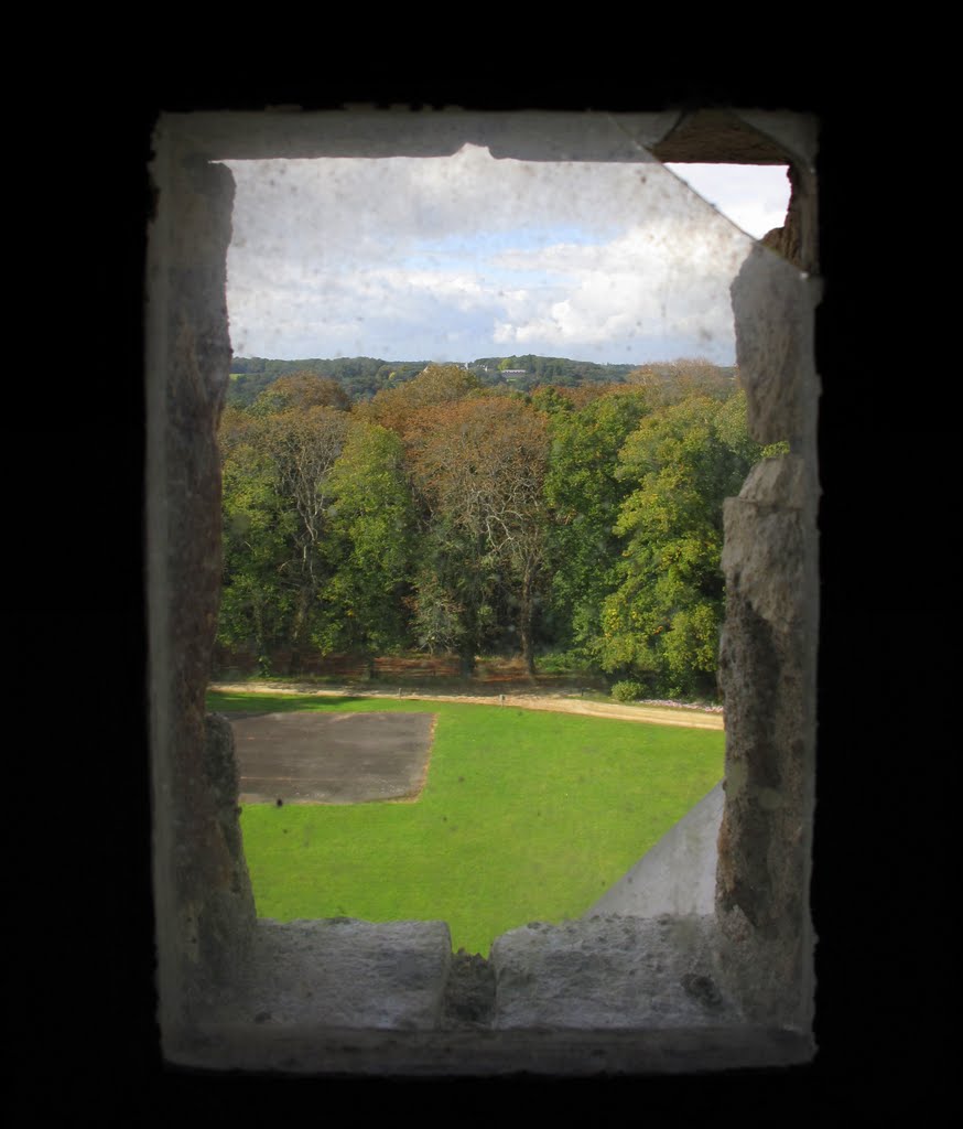 Vue sur le parc du château, de l'escalier montant au clocher. by luminem