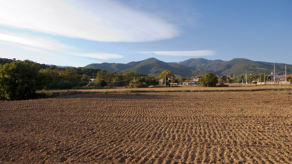 Otoño Sant Pere de Vilamajor by Pilar López. Zarza