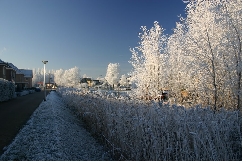 Dadelgaarde, Hendrik-Ido-Ambacht, The Netherlands, 22-12-2007 by pjrinkel