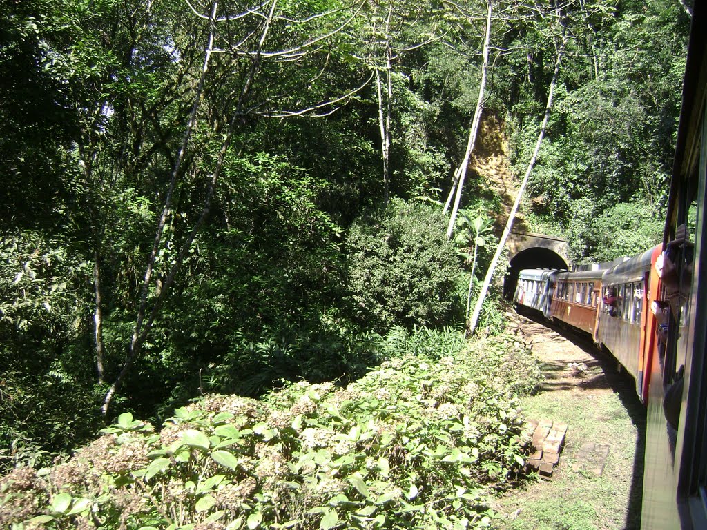 Um dos túneis da Estrada de Ferro Curitiba-Paranaguá (PR) by Giuliano Tostes Nova…