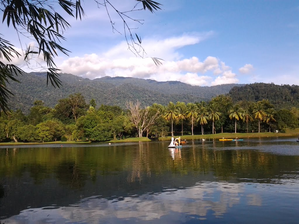 View of bukit larut,taiping -perak by wizview