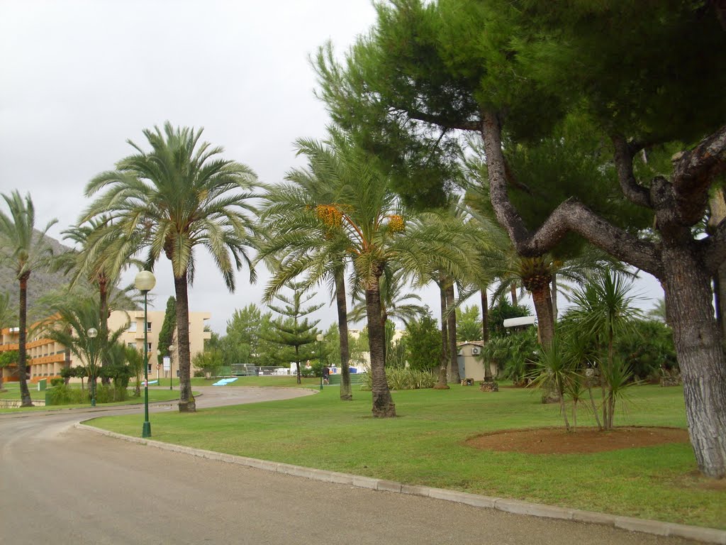 Alcúdia, Balearic Islands, Spain by Stefan Kanke