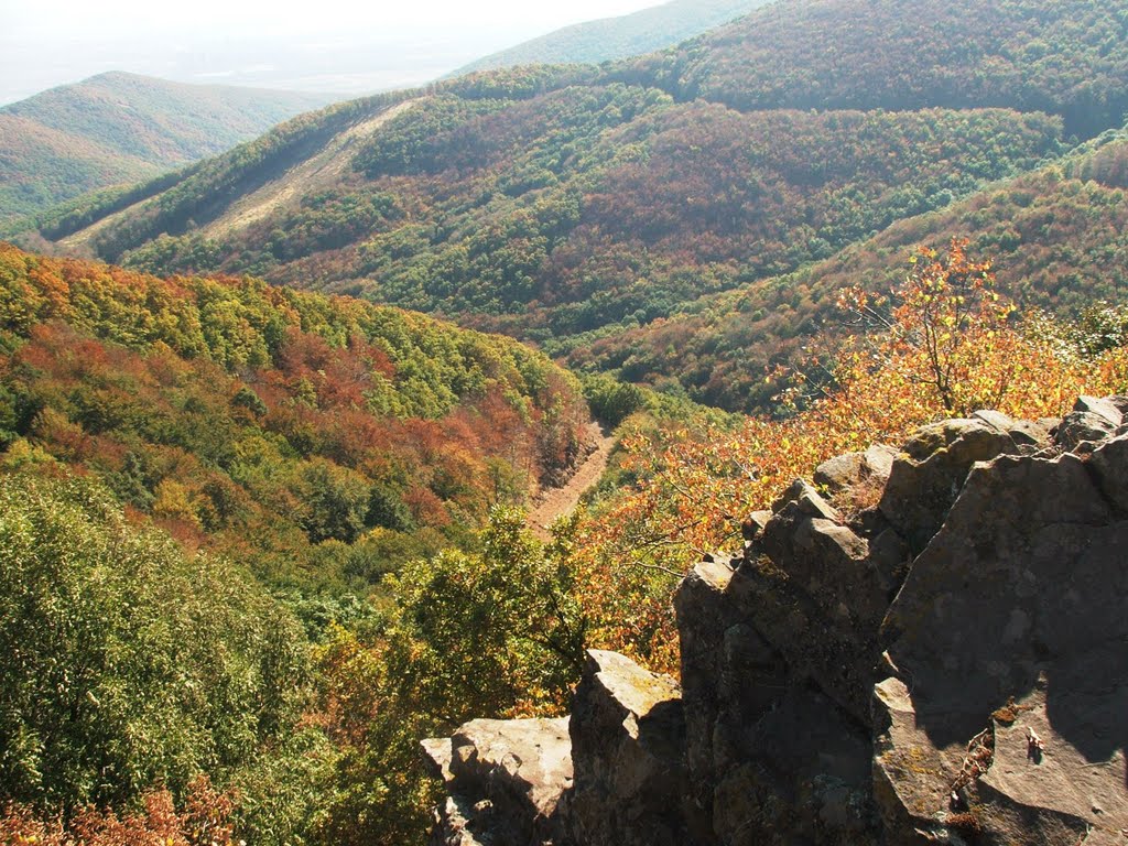 Útban Disznó-kő felé. by gödi