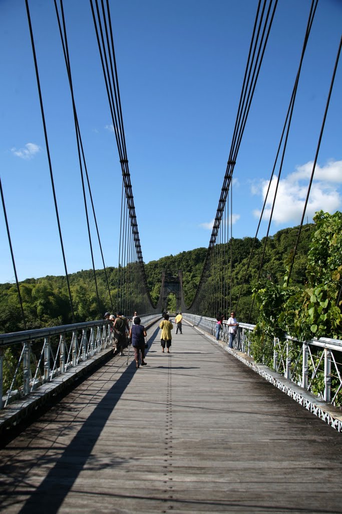 Pont Suspendu de la Rivière de l'Est, Saint-Benoît, La Réunion, France by Hans Sterkendries