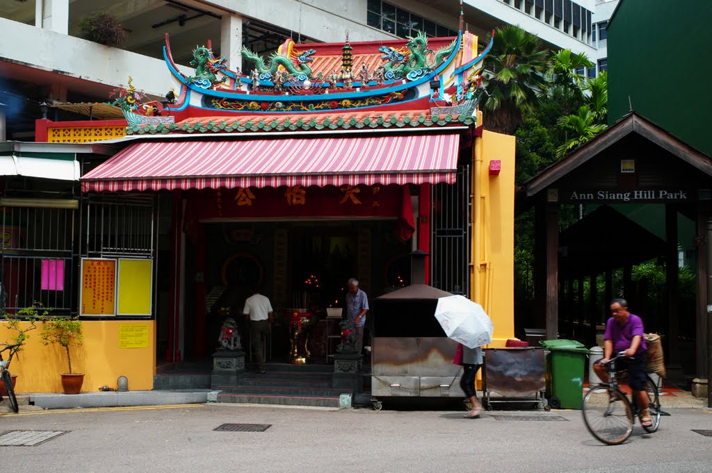 Da Bo Gong Temple 大伯公庙 Amoy St, Singapore by JohnMuzi