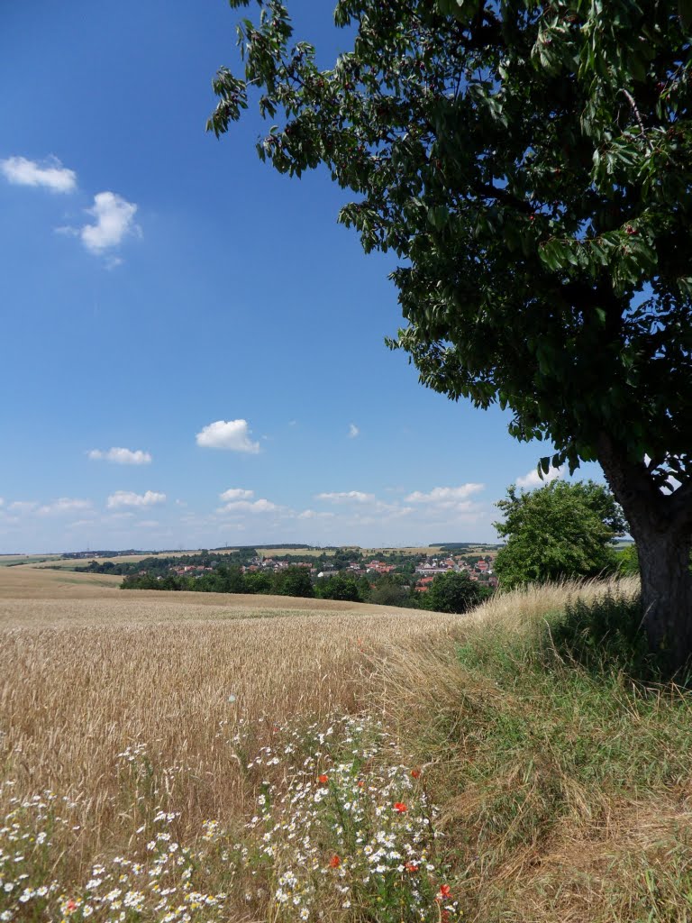 Großörner - Blick von der ehemaligen Feldscheune by gweirauch