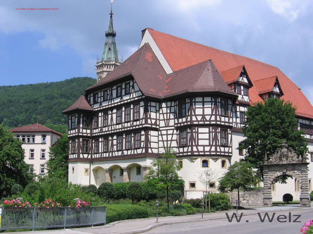 Schloss by W.Welz