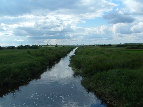 Rzeczka Wirowa okolica wsi Nawozy by Sławiński